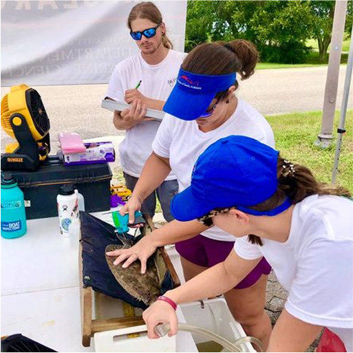 people with a flounder